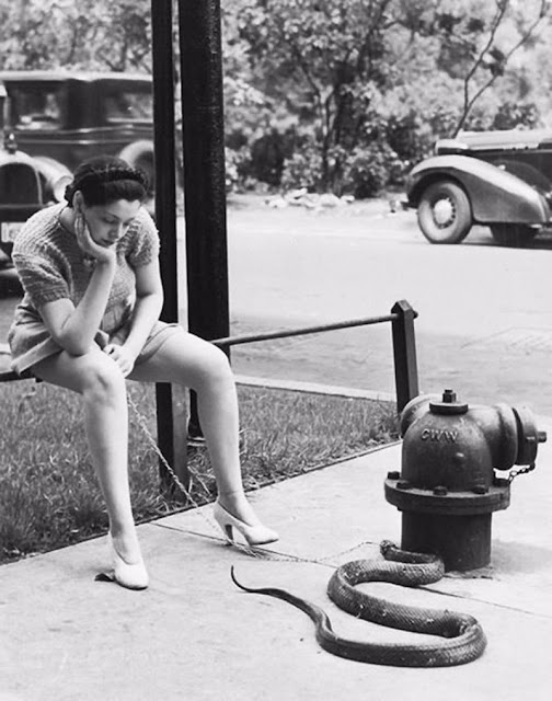 Kathryn Boyd from Youngstown (Ohio) walking one of her snakes, early 1940s.jpg