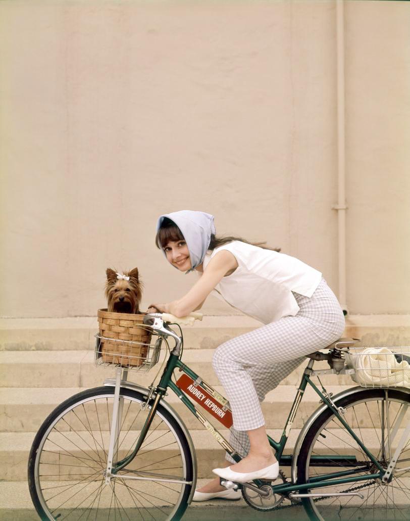 Audrey Hepburn riding her bike on a Hollywood backlot during the filming of My Fair Lady, 1963.jpg