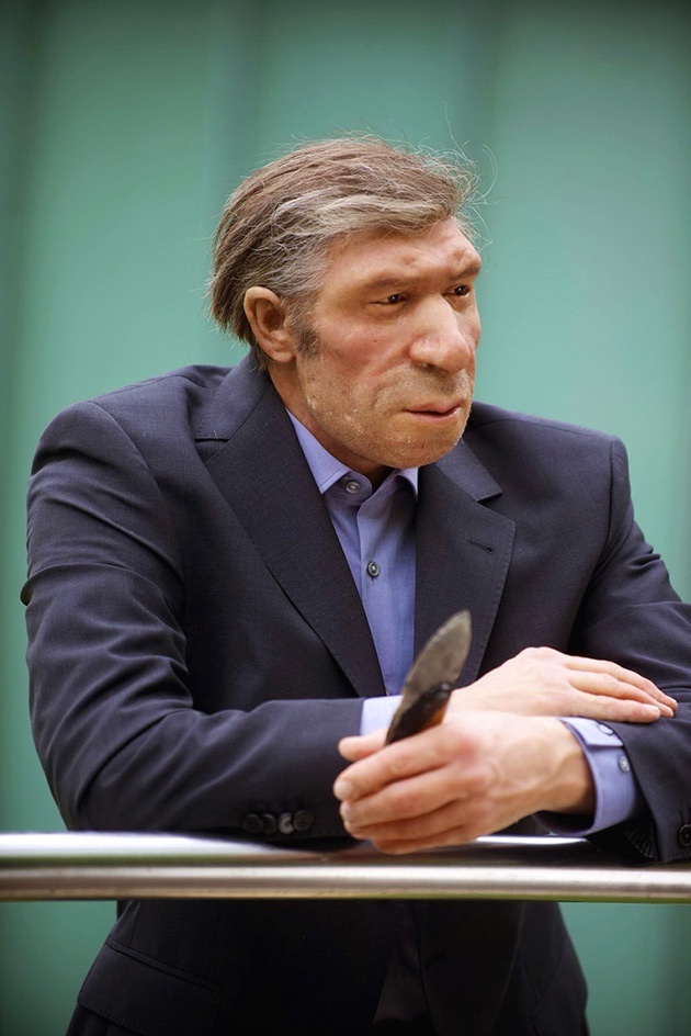 A Neanderthal man in a modern suit and tie. German museum exhibit.jpg