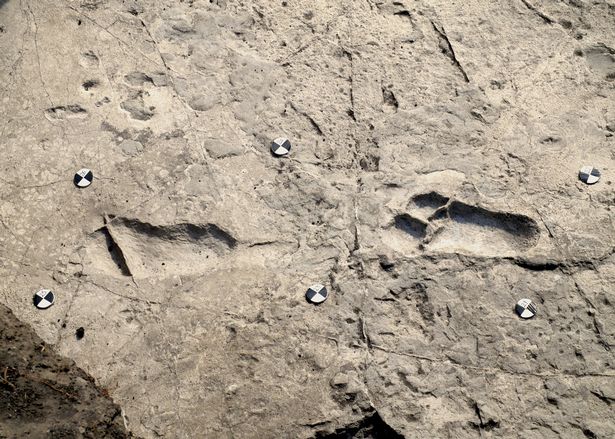 Laetoli Footprints in Olduvai Gorge, Tanzania are the oldest footprints of human ancestors in the world. They are 3.6 million years old.jpg