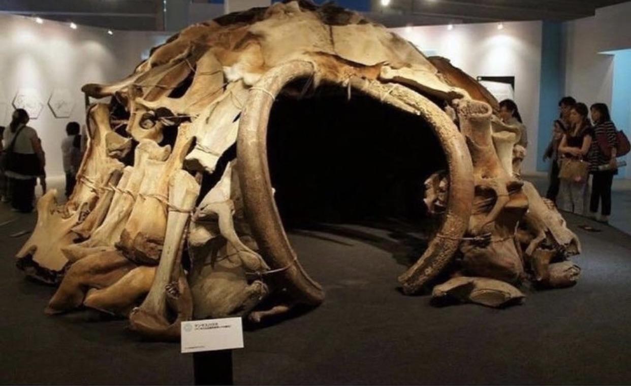 Cabin made of mammoth bone found in Ukraine.jpg