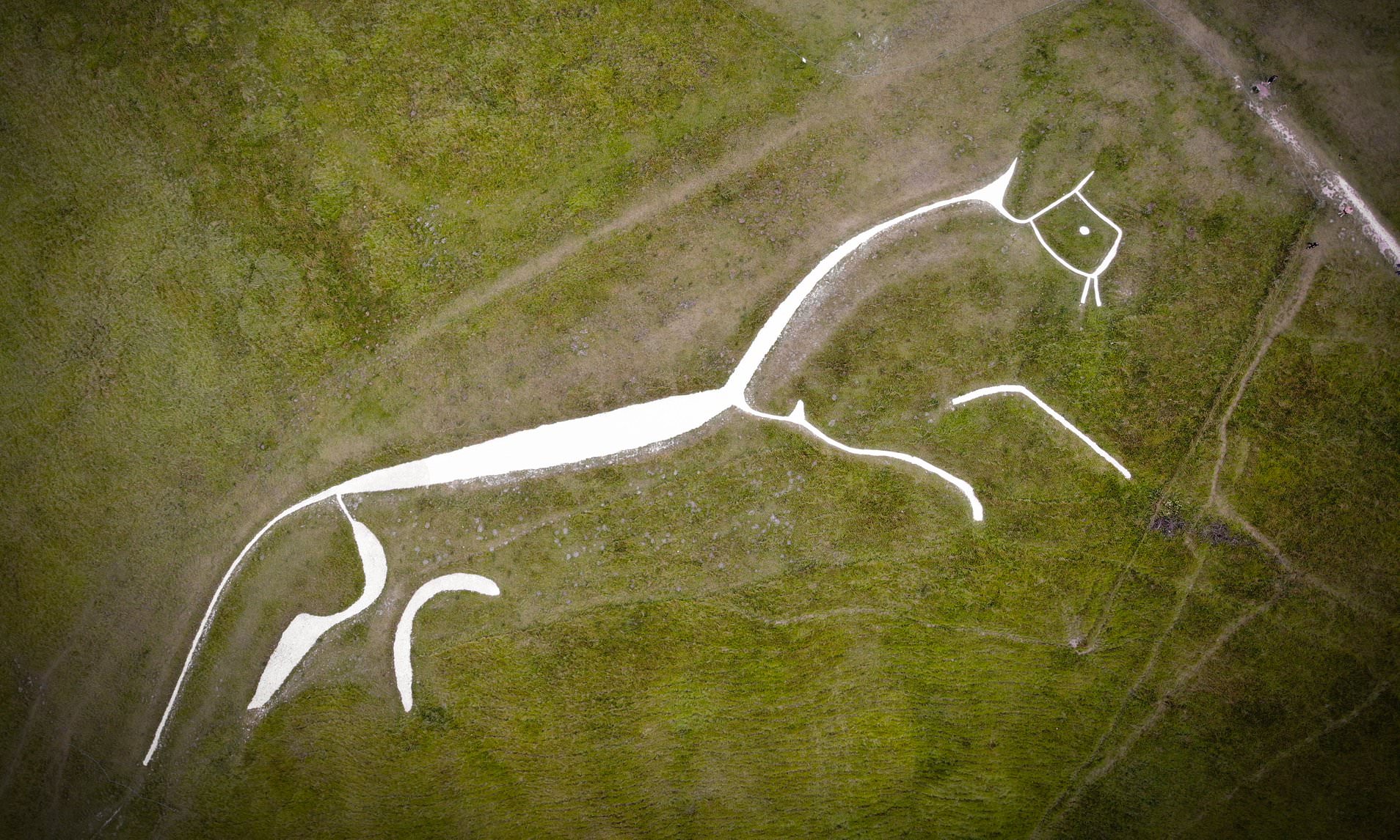 the Uffington White Horse in England is a prehistoric hill figure possibly dating as far back as 1000 BC and was made of white chalk.jpg