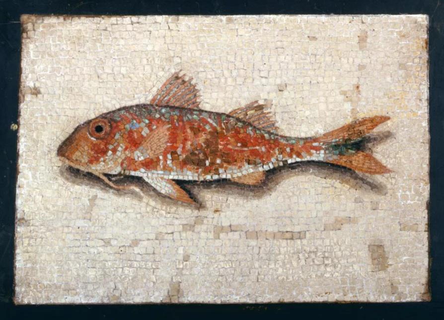 A Roman mosaic depicting a fish. 1st century CE, now housed at the State Historical Museum in Moscow.jpg