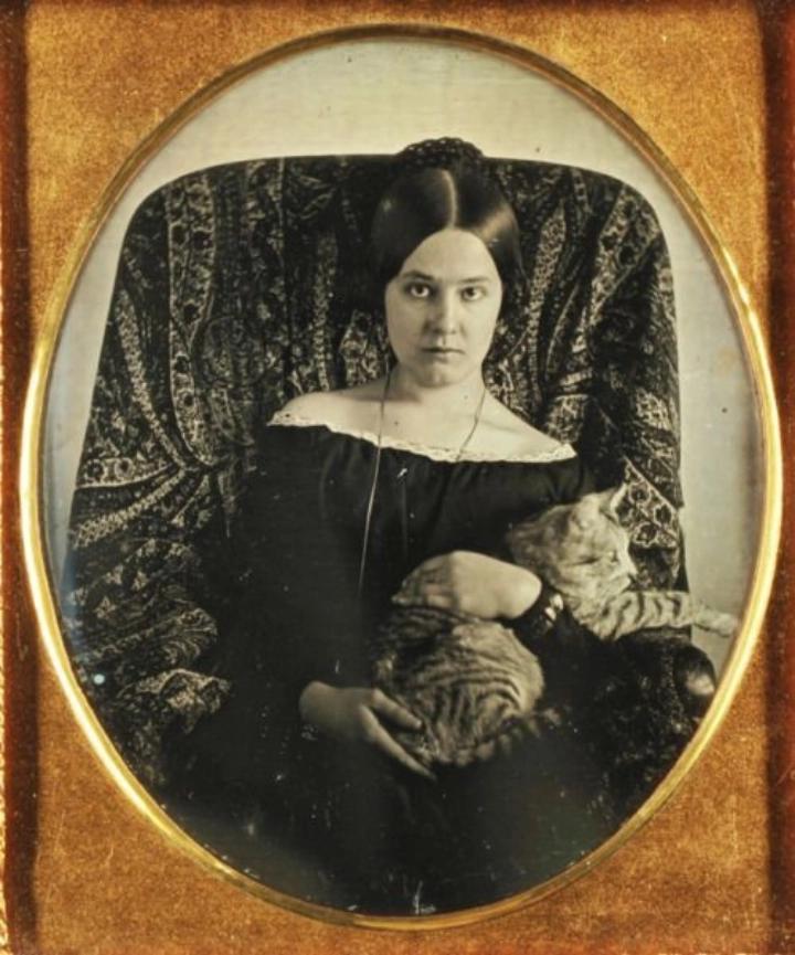 Daguerreotype of a woman holding a cat, early 1850s.jpg