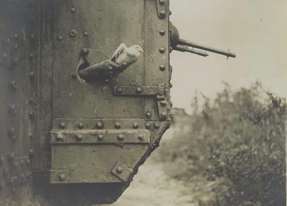 A carrier pigeon being released from the side of a British tank, the battle of Amiens, 9th of August 1918.jpg