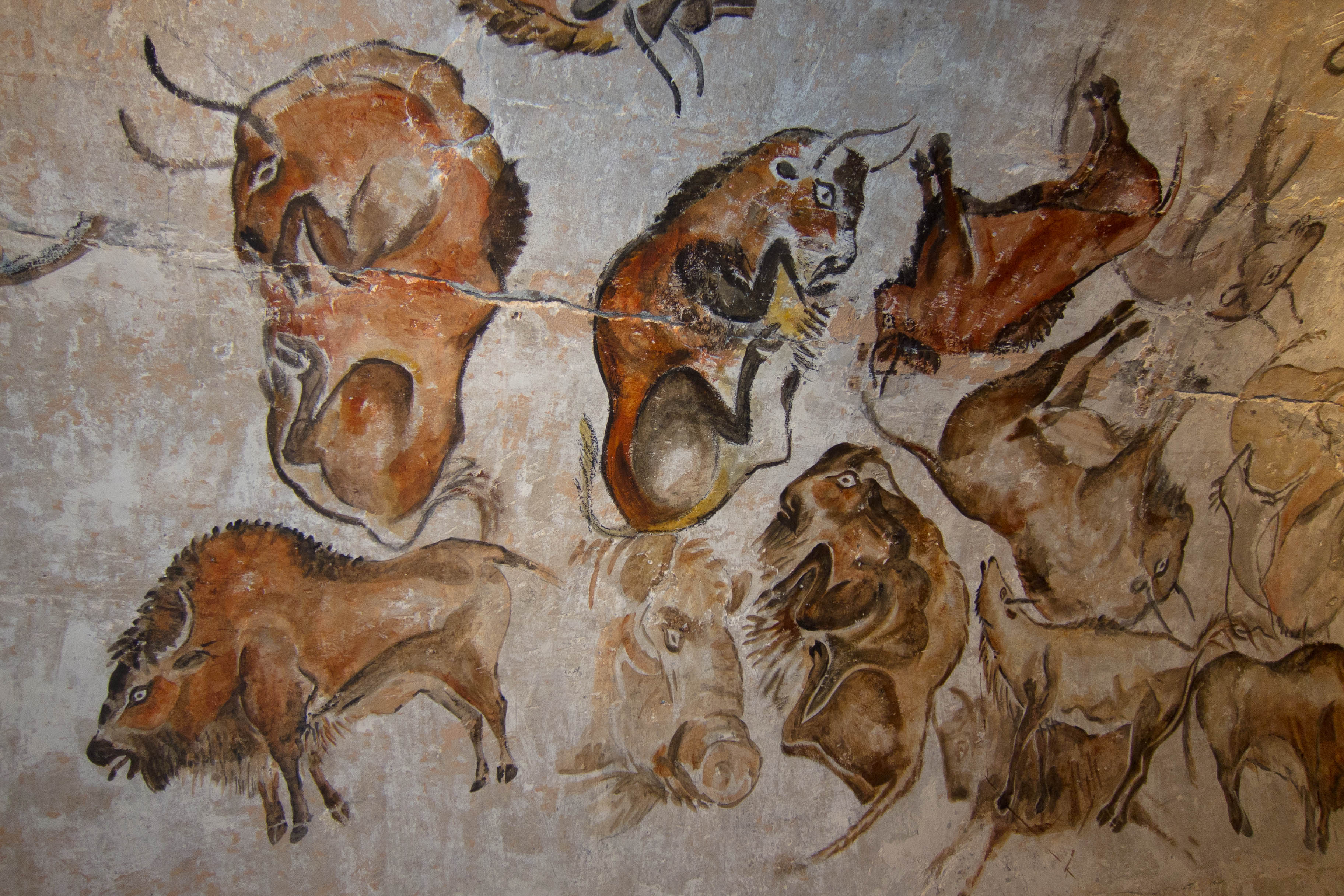 some bison paintings in the Cave of Altamira, Spain, which were made over a very long period between 35,000 ~ 15,000 BP..jpg