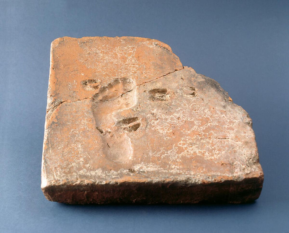 Roman clay plate with imprints of a child’s foot and deer claw. The object is about 1,800 years old and was found in Ummendorf (southwest Germany).jpg