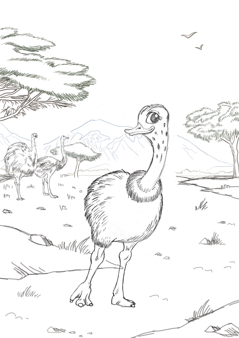 Ostrich-1.jpg