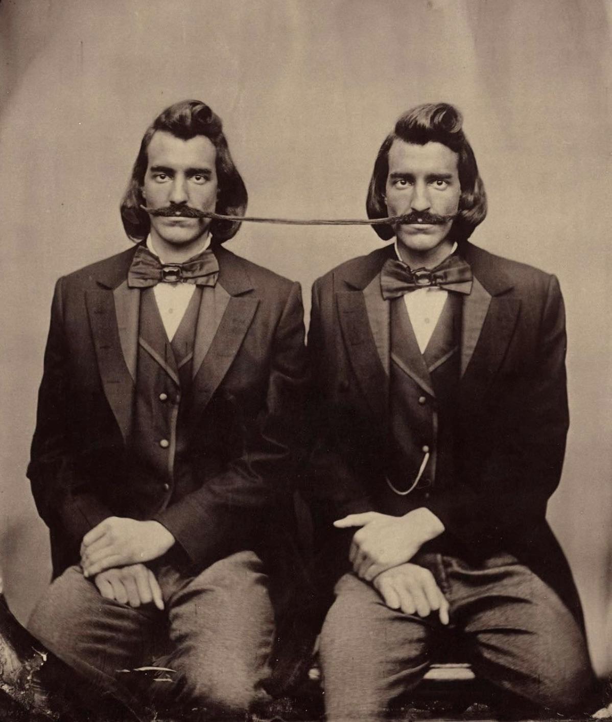 Conjoined Twins Of Mustaches 1890.jpg