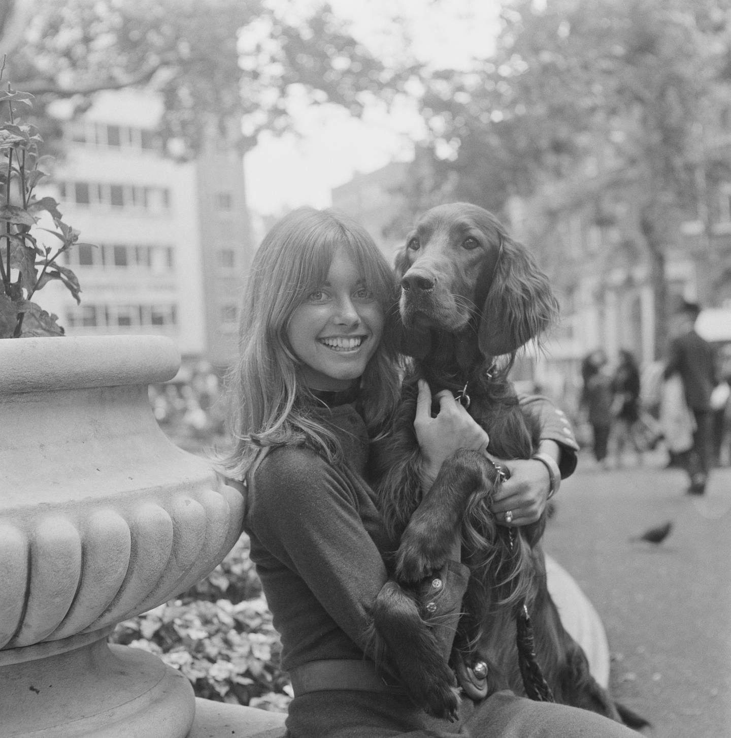 Olivia Newton-John (21) holding a red setter dog, September 1970.jpg