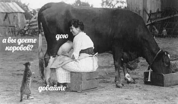Корова, доярка и кот, США, 1921.jpg