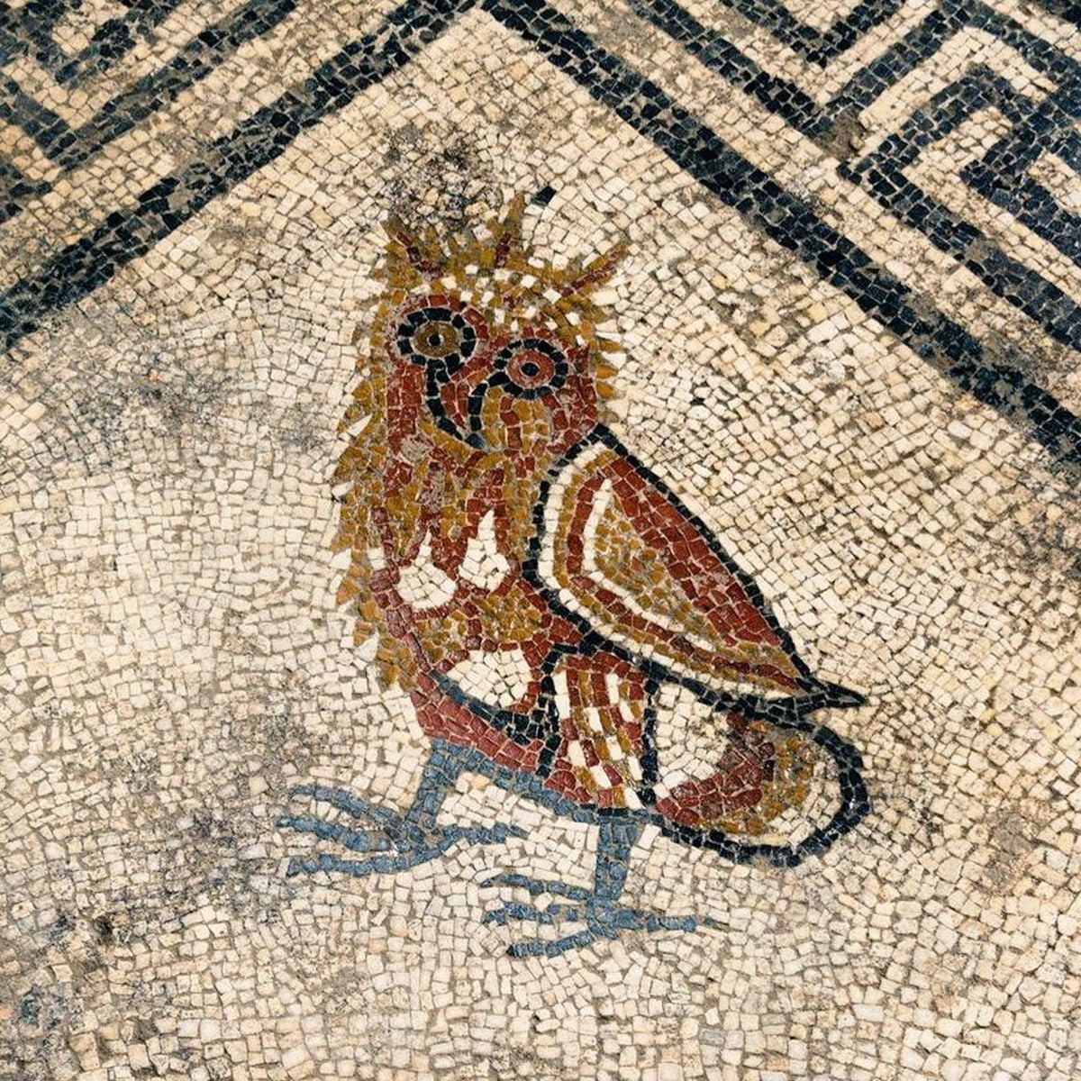 Roman mosaic showing an owl. The object was discovered in southern France, in the city of Uzèz. Artifact dated to the second half of the 1st century BCE.jpg