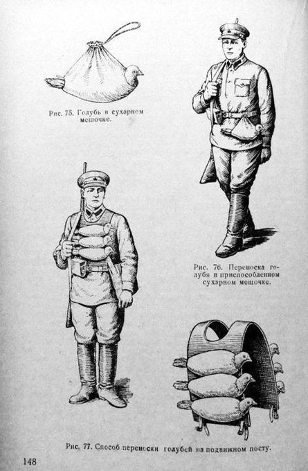 Soviet Pigeon Handler Instructions, c. 1937.jpg