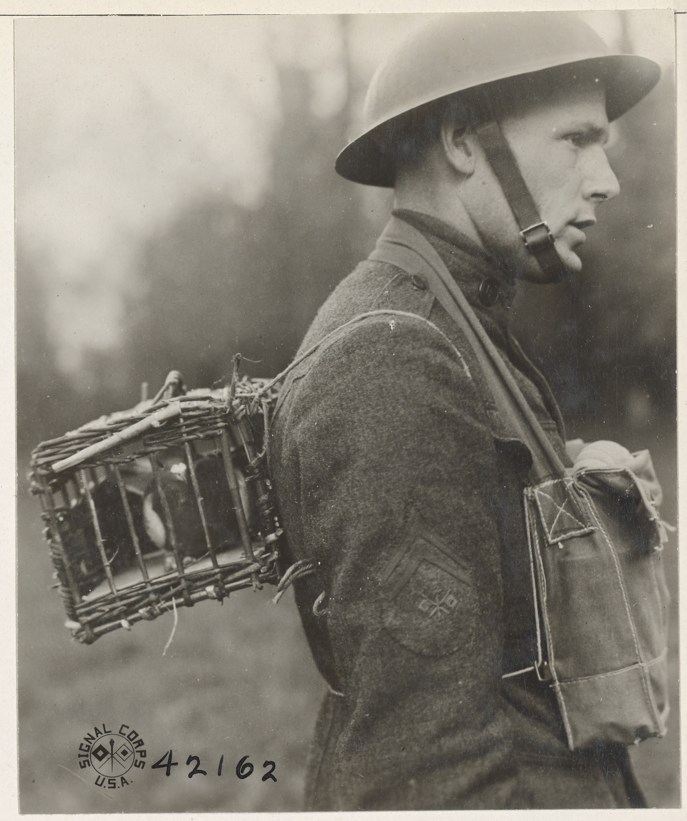 US Army Signal Corps solider with two pigeons strapped to his back, WWI, c. Oct. 1918.png
