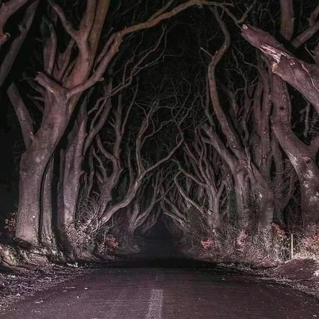 A haunting road in northern Ireland.jpg