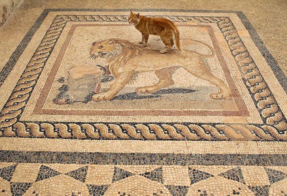Terrace Houses - Ephesus, Turkey.jpg