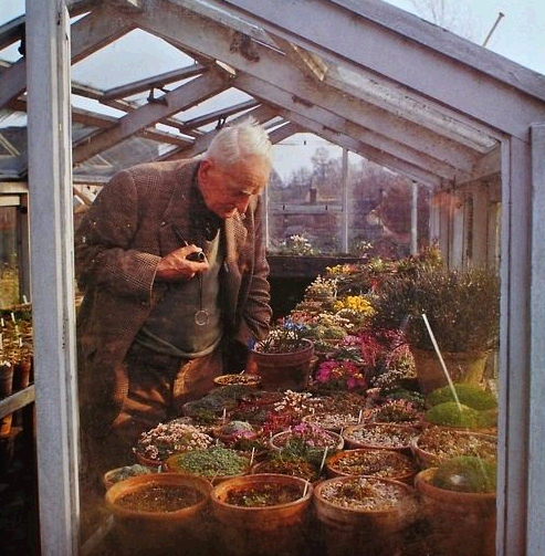 J. R. R. Tolkien (LOTR), in his Greenhouse, 1960’s.png