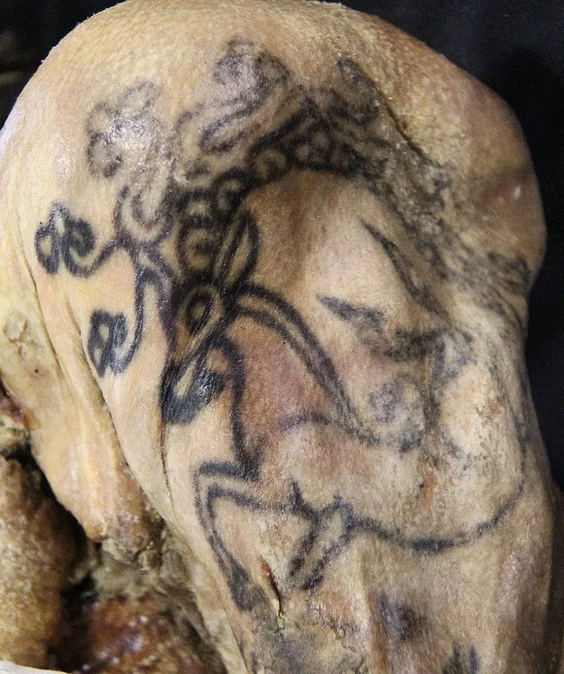 Scythian tattoo art on the mummy of the 'Siberian Ice Maiden', 500 BC.jpg