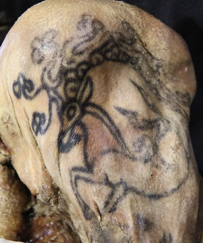 Scythian tattoo art on the mummy of the 'Siberian Ice Maiden', 500 BC.jpg