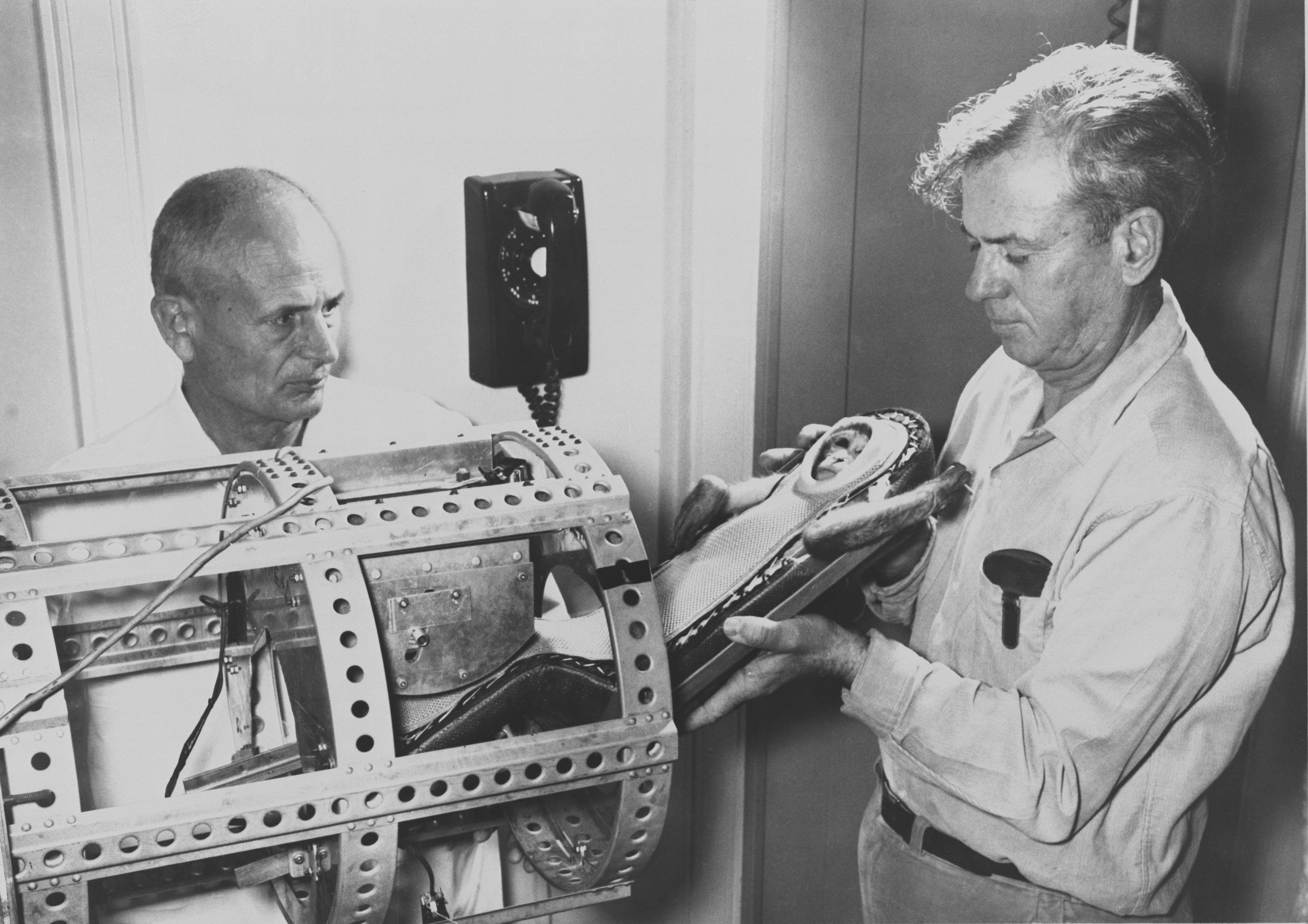 Rhesus Monkey Miss Sam being placed in a container for the Little Joe 1B, a launch escape system test of the Mercury spacecraft conducted on January 21st 1960.jpg