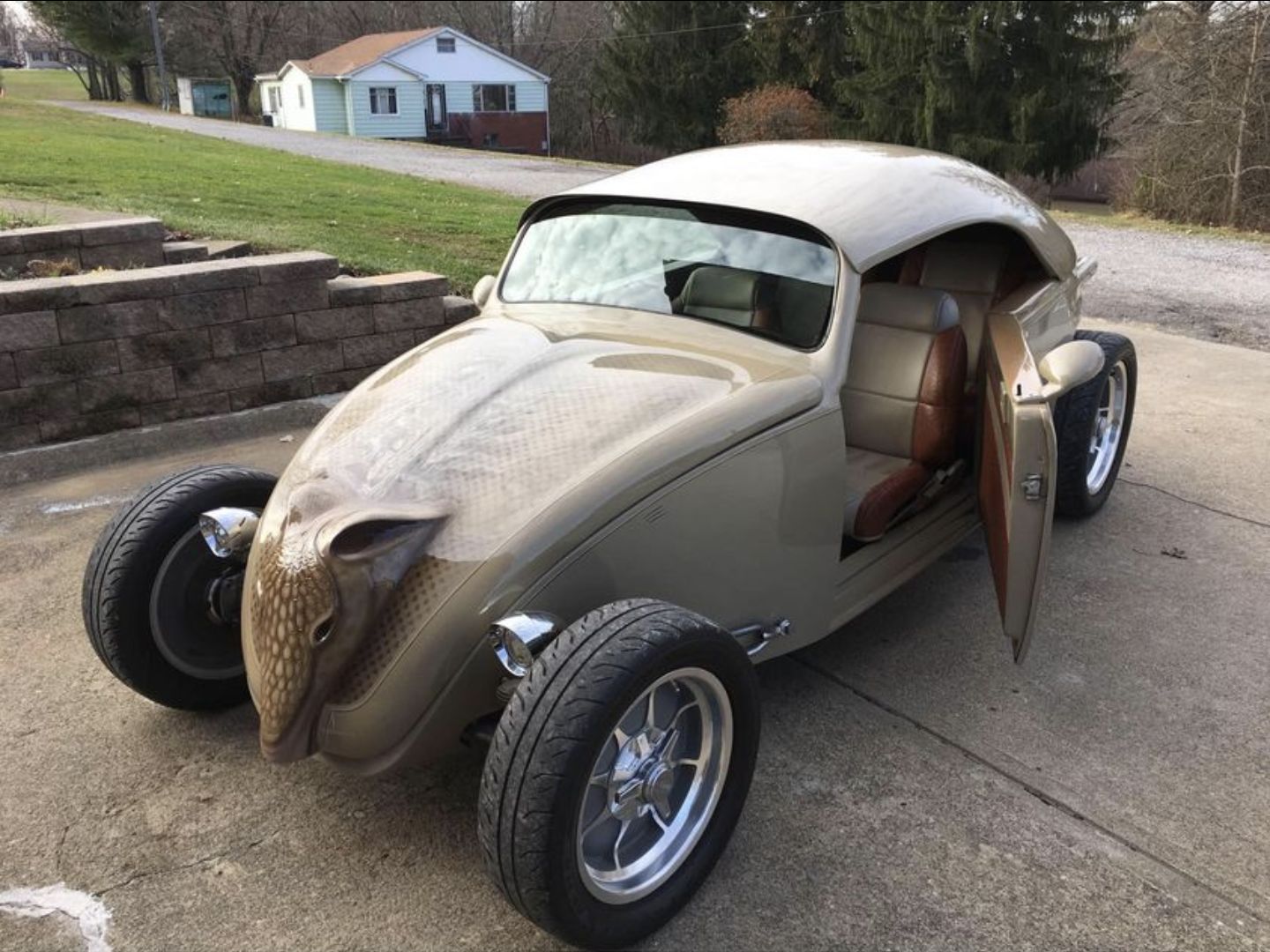 Blursed VW Beetle.jpg