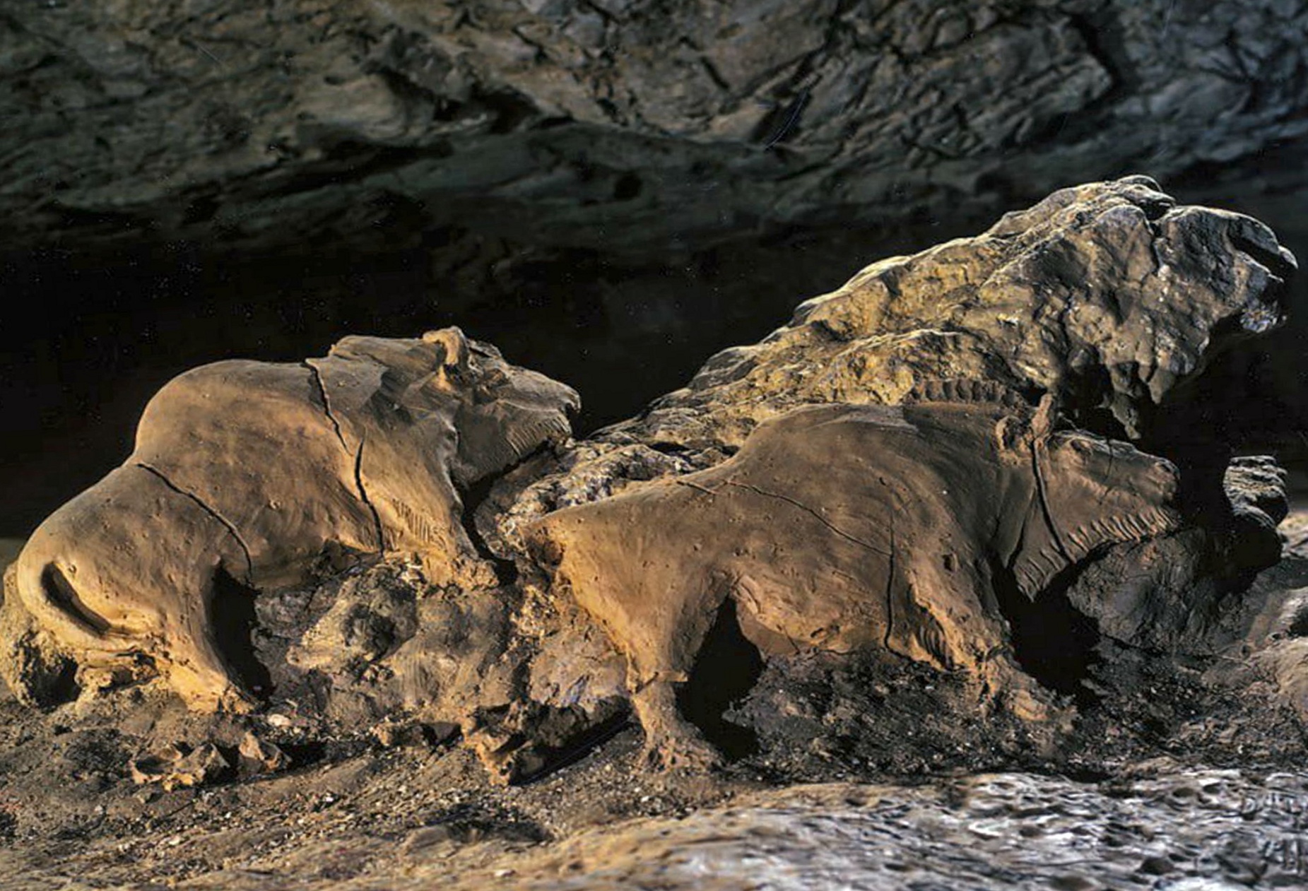 14,000 year old bison sculpture found in Le Tuc d'Audoubert cave in Ariege, France.jpg