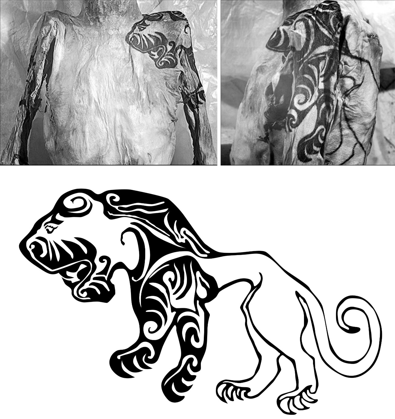 A tiger tattoo on the shoulder of a Scythian male mummy found in 1949 in the Altai Mountains of Siberia. 3rd century BCE, Russia.jpg
