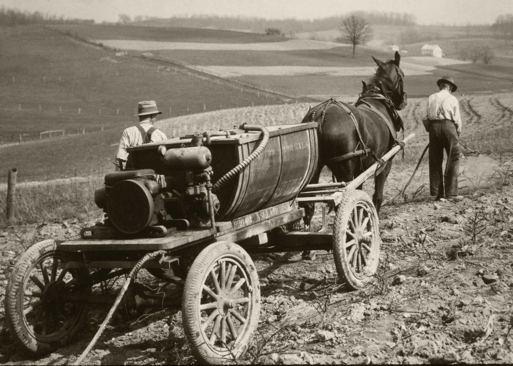 Farmers spray raspberry bushes planted on the contour of a farm near Danville, Ohio circa 1939.jpg