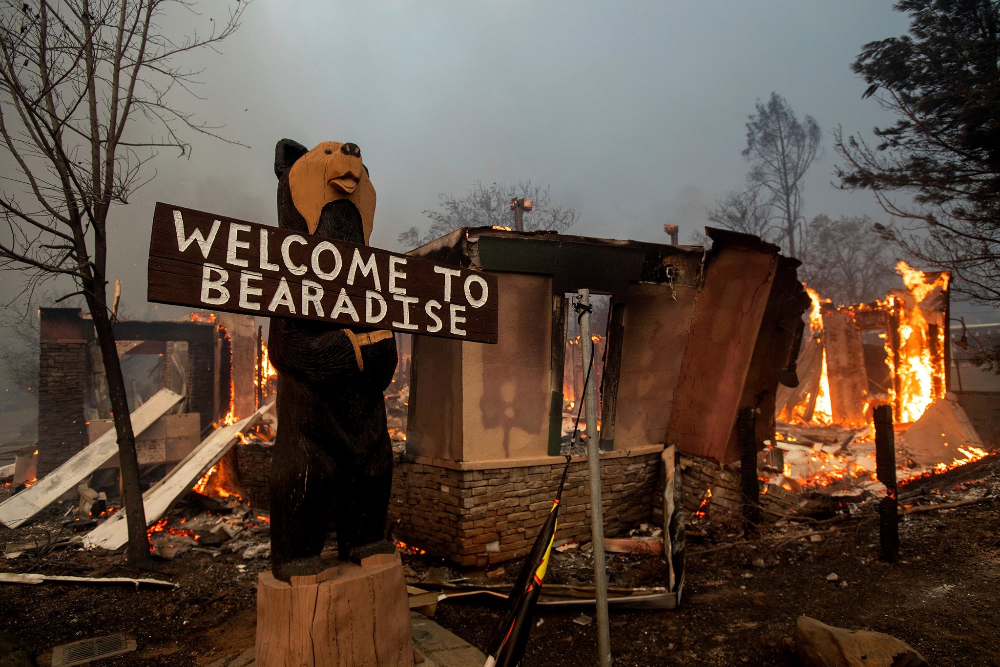 Black Bear Diner in Paradise, California - November 8th, 2018.jpg