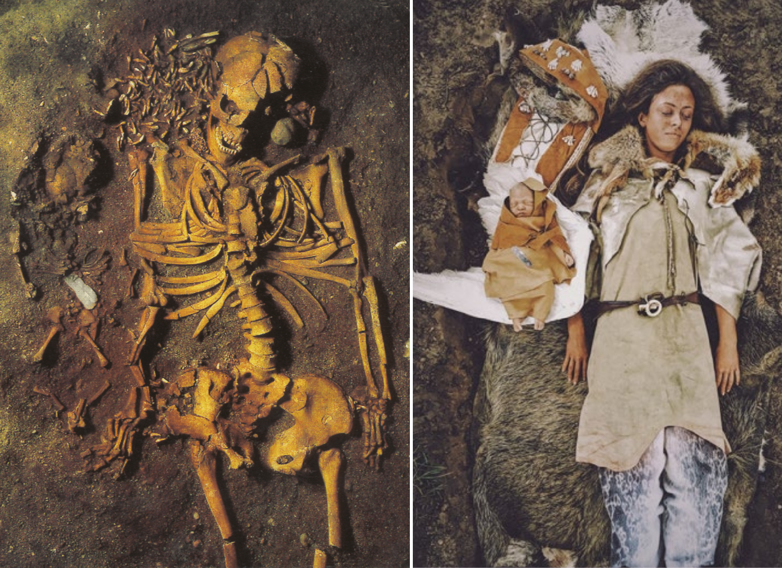 A 7000-6000 year old burial of a young woman (aged around 20 when she died) and her newborn baby from Vedbaek, Denmark.png