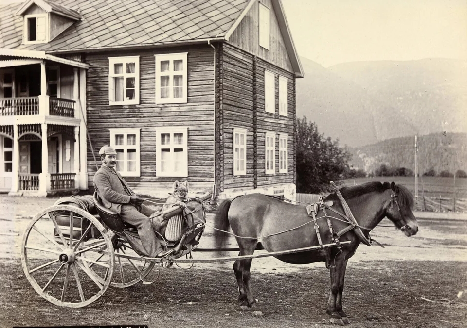A man, a dog, a horse and a carriole [1880s, Norway].jpg
