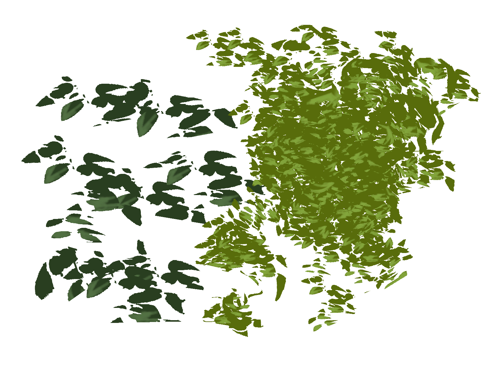 _Foliage_01.png