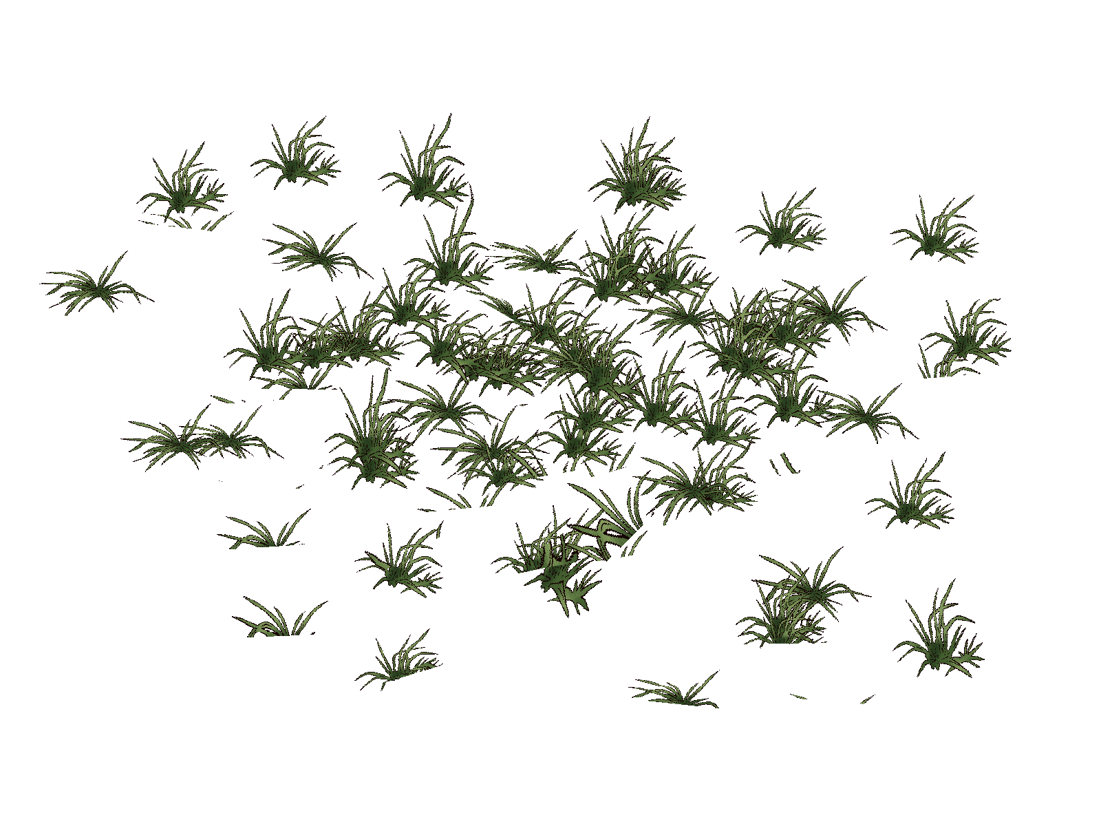 _Grass_01.png