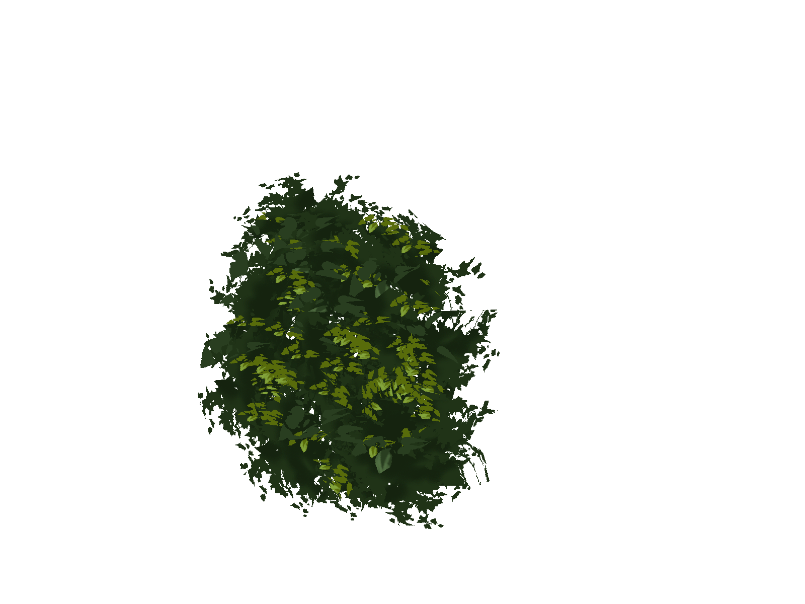 _Foliage_02.png