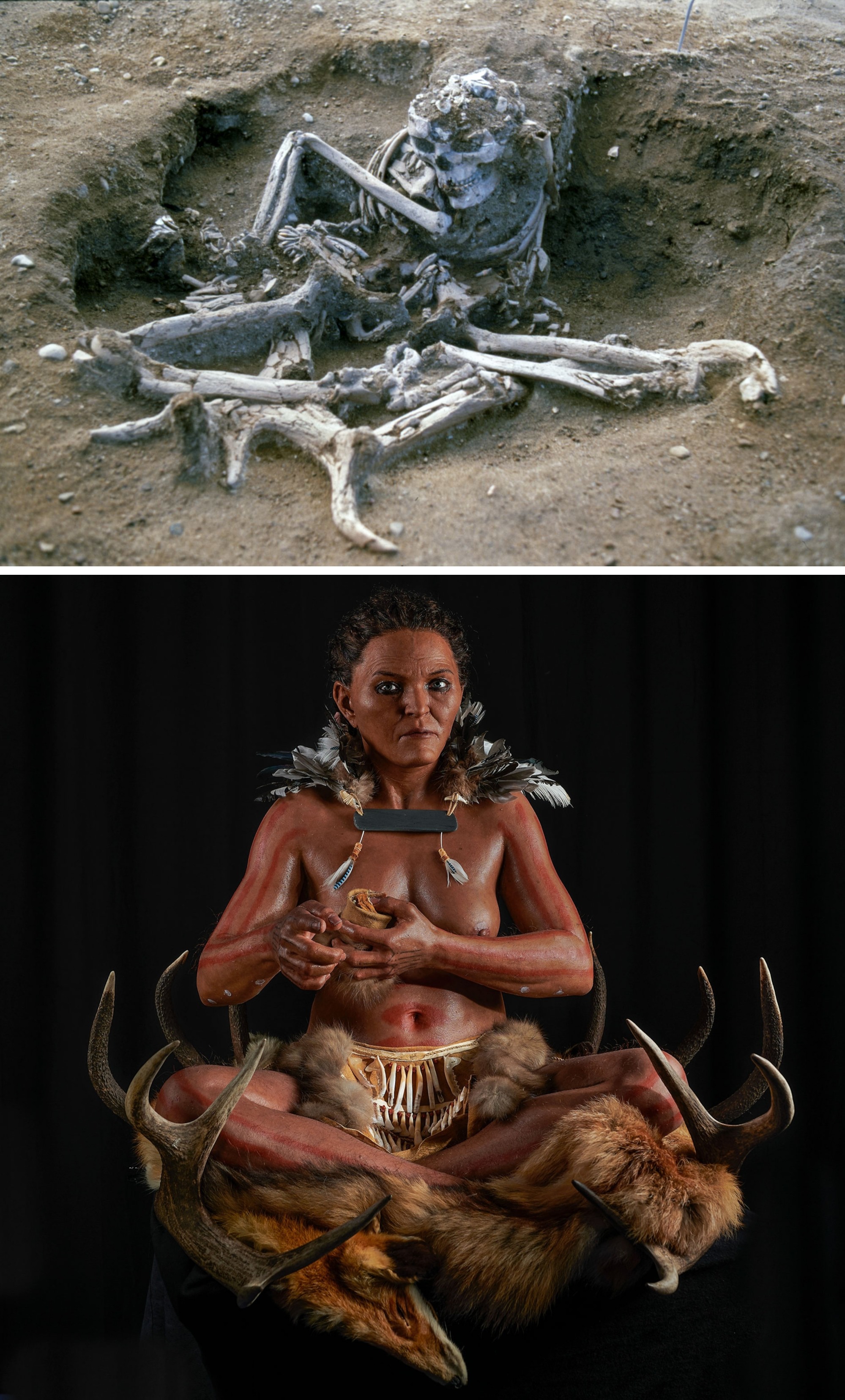 A woman who lived in what is now southern Sweden 7,000 years ago was found buried sitting upright on a bed of deer antlers. She wore a slate necklace and a belt made of 130 animal teeth.jpg