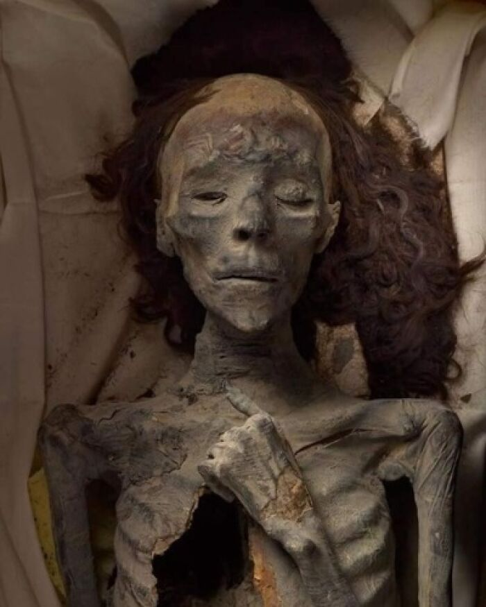 Queen Tiye (1340 B.C.).png