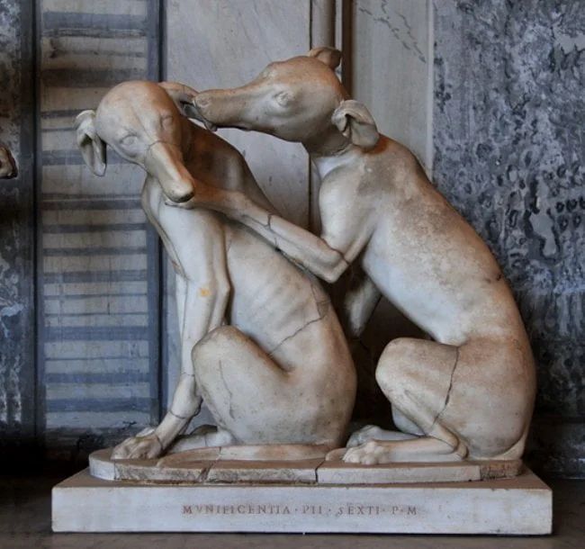 Roman greyhound statue. 2nd century BCE. Currently, in the Vatican Museums.jpg