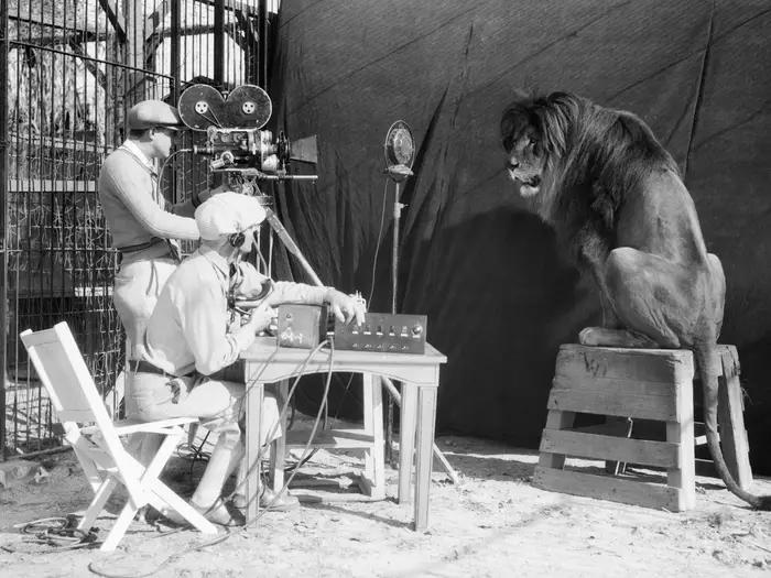 The lion named Leo that became a symbol of MGM Studios made its debut in 1927.jpg
