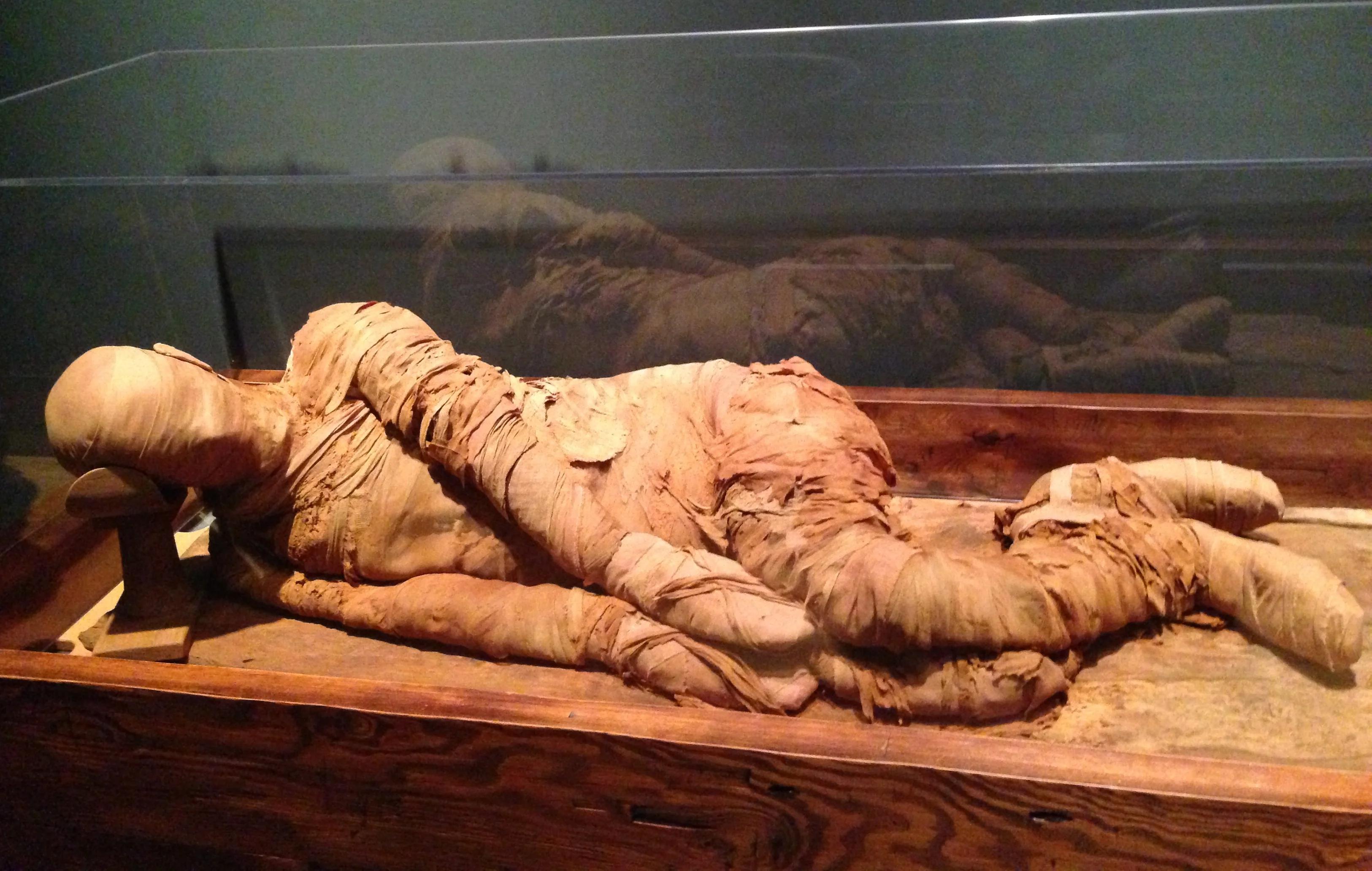 An Egyptian mummy displayed in Emory University's Michael C. Carlos Museum in Atlanta. The mummy is that of a man who lived during the Old Kingdom period of Egypt, in c. 2300 BCE.jpg