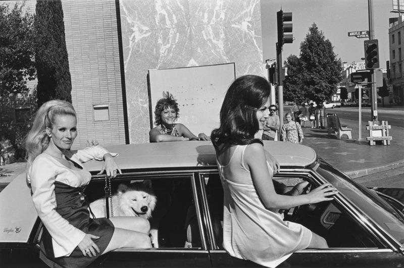 The coolest dog in town! Photo by Lee Friedlander, Hollywood, 1970.jpg
