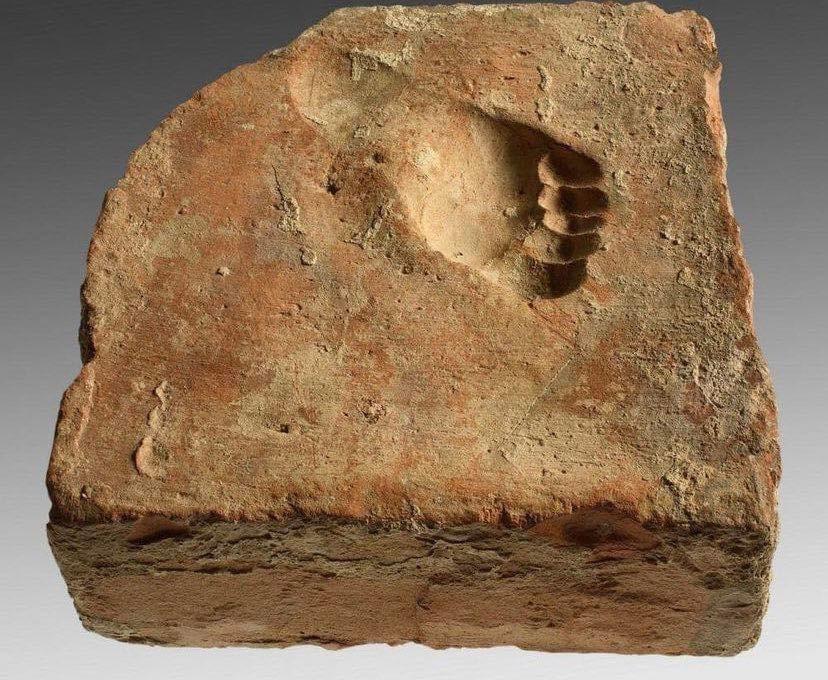 A child's footprint in a Roman Tile The footprint of a Roman toddler has been preserved on this tile for 1,800 years. It was found in Carnuntum, Austria.jpg