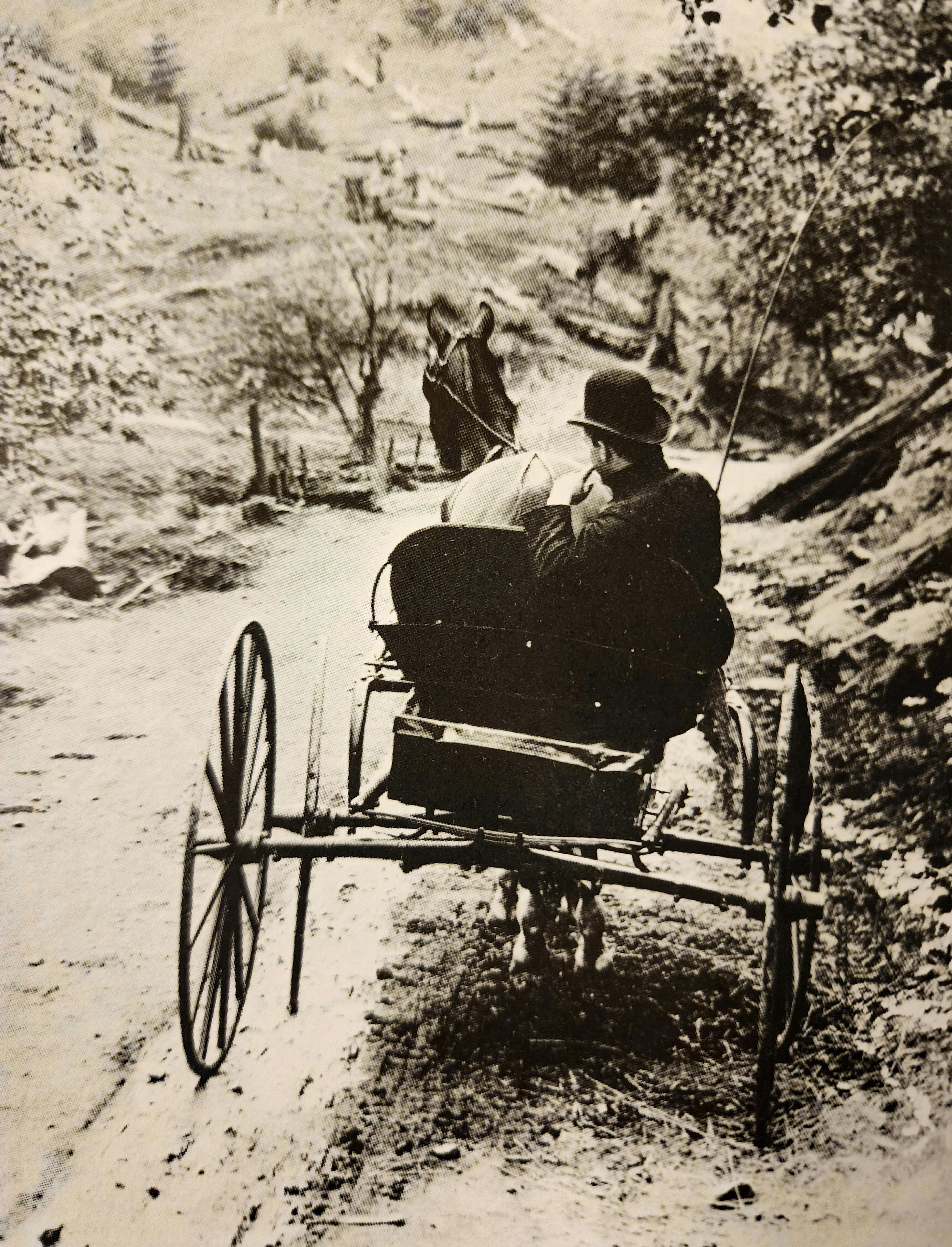 Man and his one horse buggy, chilling - Circa 1880s.jpg