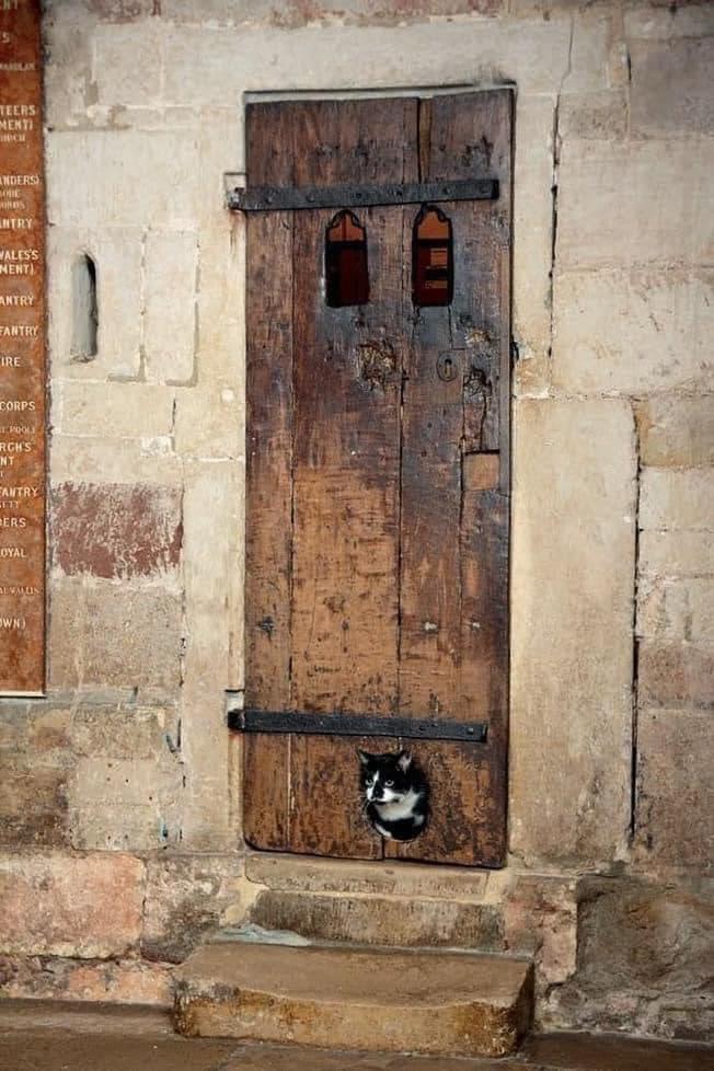 This 14th century door at Exeter Cathedral, UK, is thought to be the oldest existing cat flap.jpg