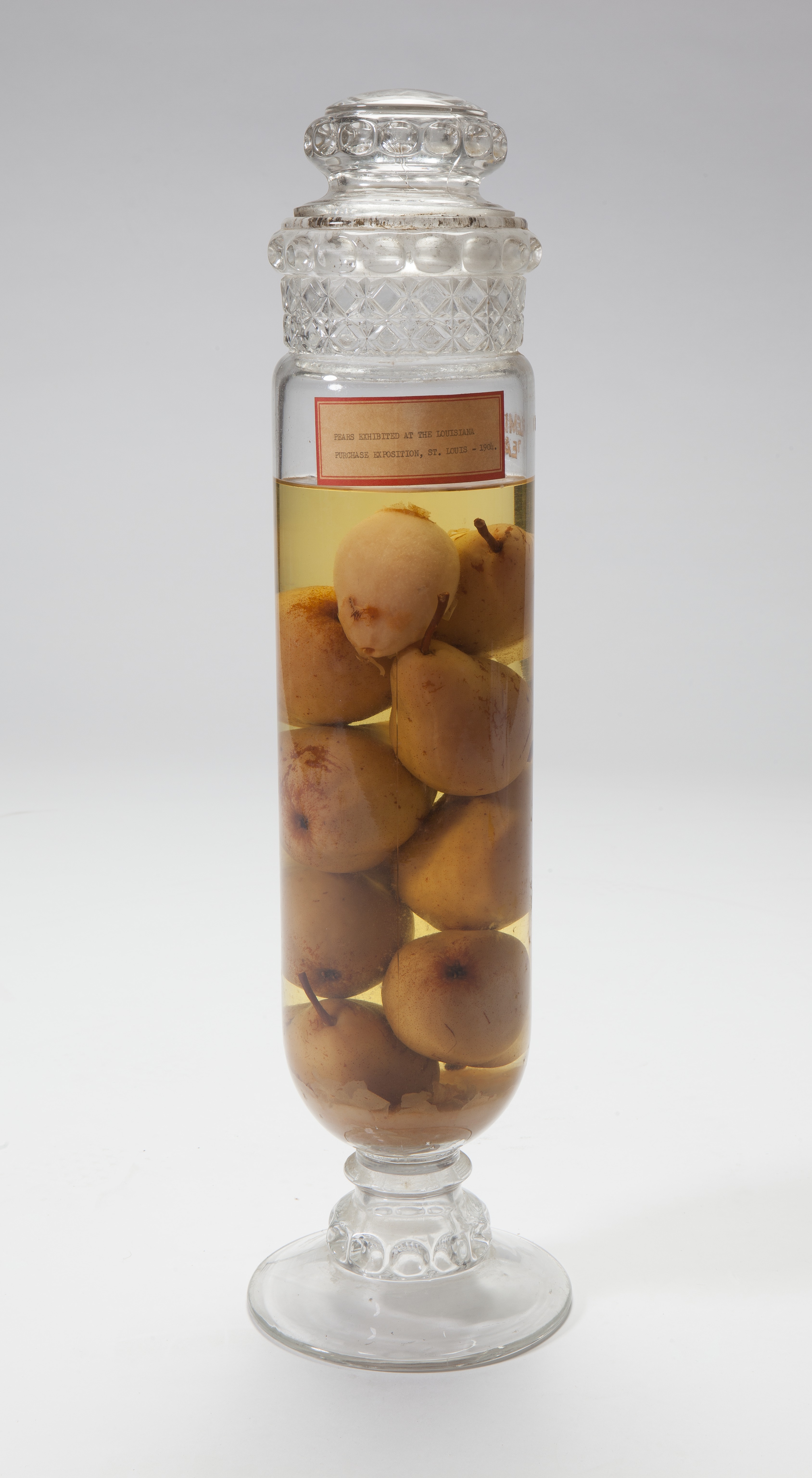Glass display bottle containing preserved pears from the 1904 World's Fair in St. Louis, Missouri.jpg