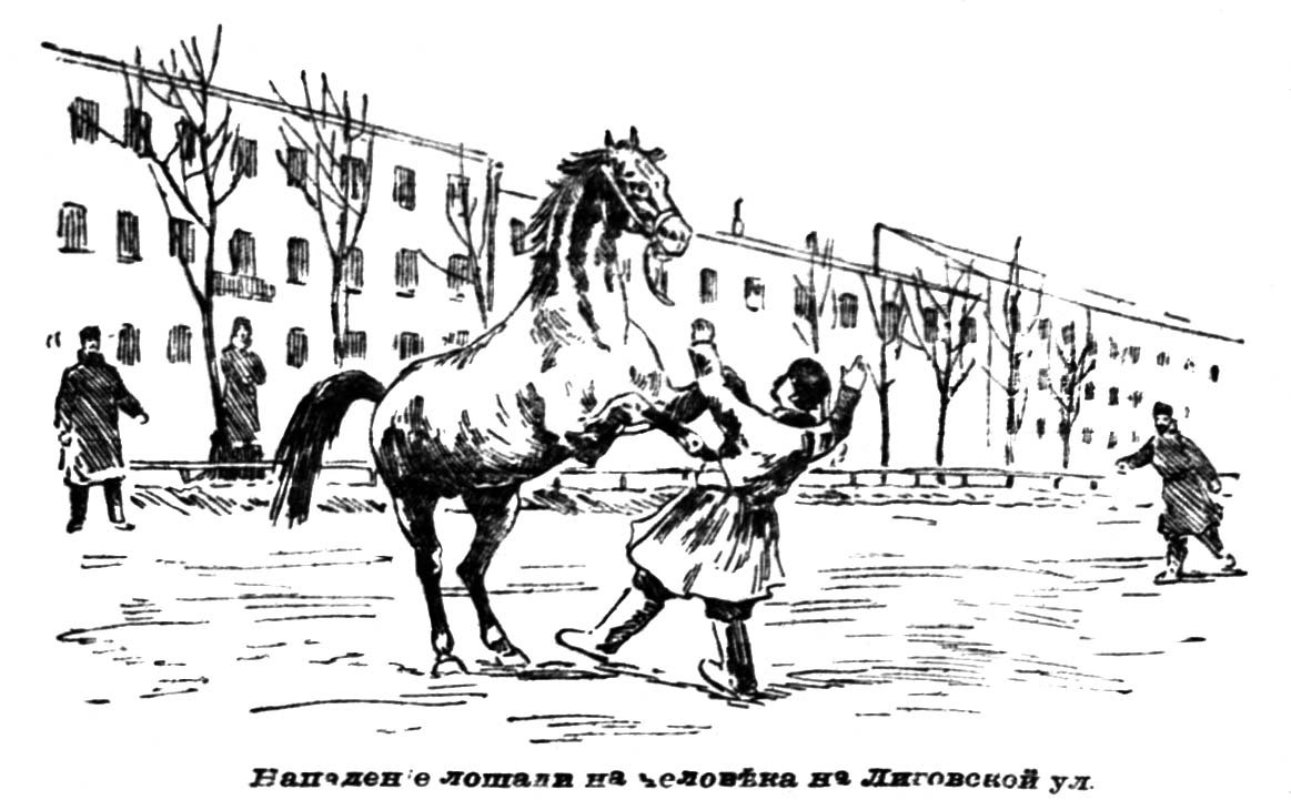 Нападение лошади на человека на Лиговской улице_Петербургский_листок_1901_№_319_20 нояб_с5.jpg