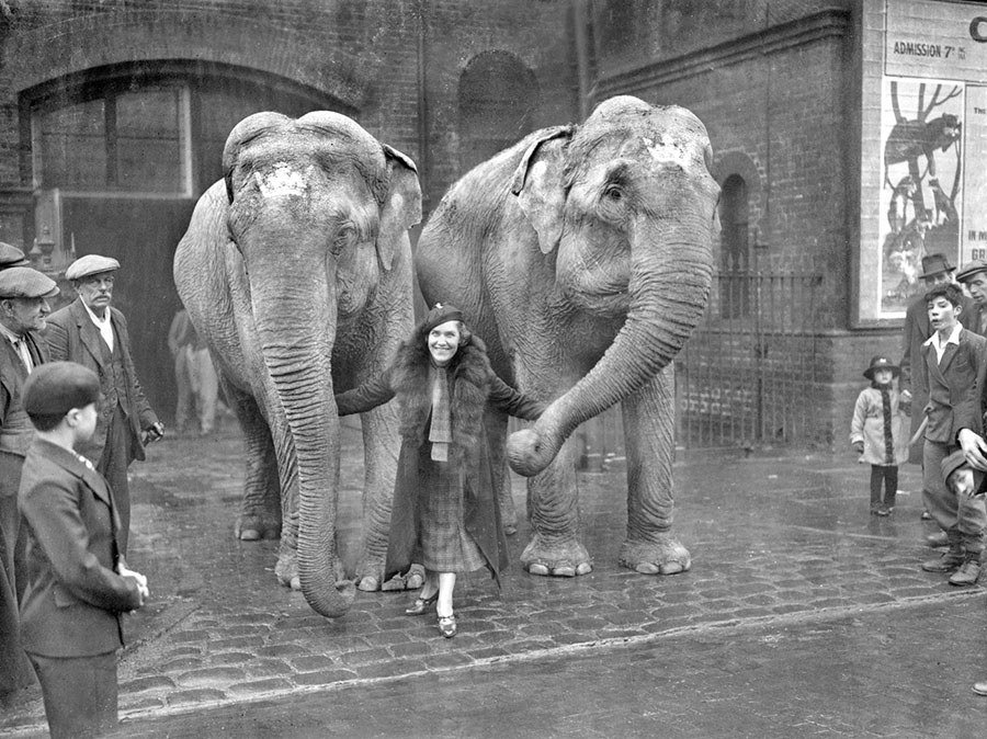 Maria Rasputin as an animal trainer at a London circus in 1934.jpg
