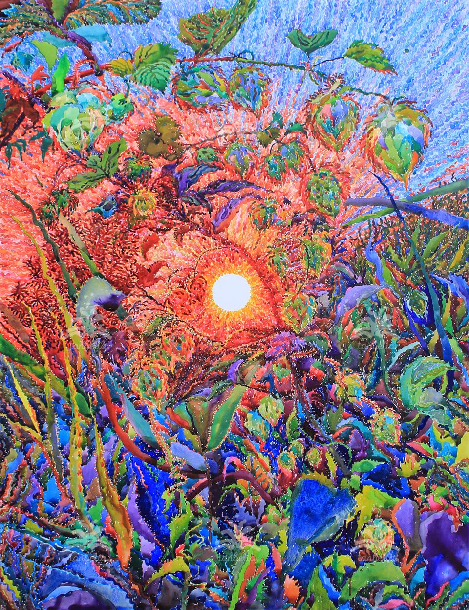 The hop, Tanbelia, 2023.jpg