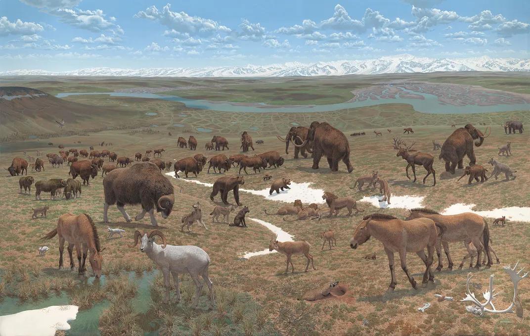 Jay Matternes, Alaskan Mammoth Steppe, Late Pleistocene (20,000 to 14,000 years ago) (1975).jpg