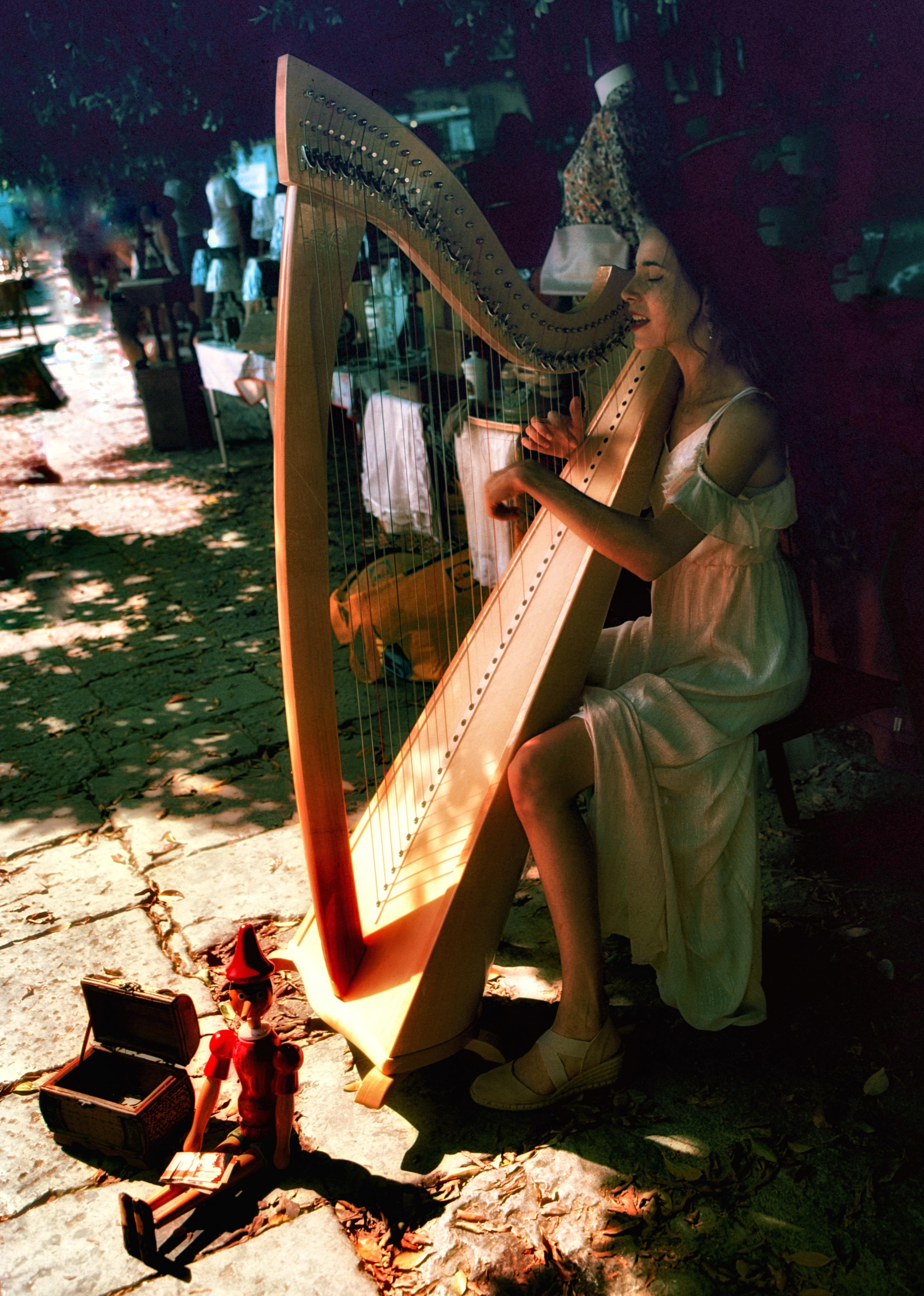 Harp Player - Palermo Sicily.jpg