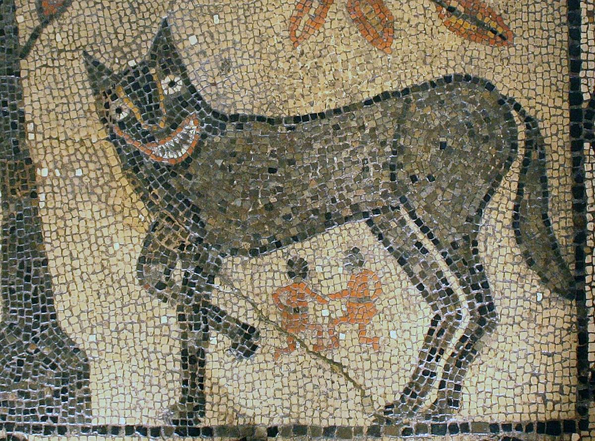 Roman mosaic showing a happy she-wolf with twins – Romulus and Remus. The object was found in Aldborough (North East England). It can now be admired at the Leeds City Museum.jpg